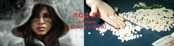 Альфа ПВП Нея