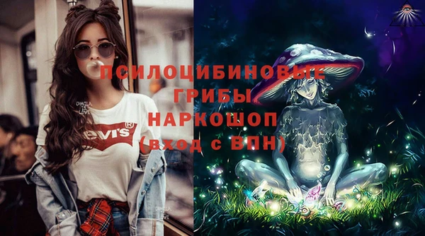 дмт Абаза