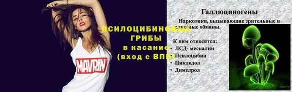 дурь Абинск