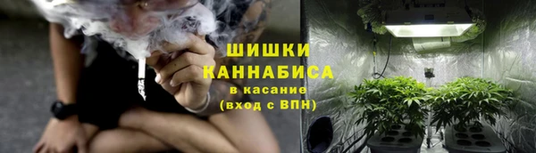 дмт Абаза