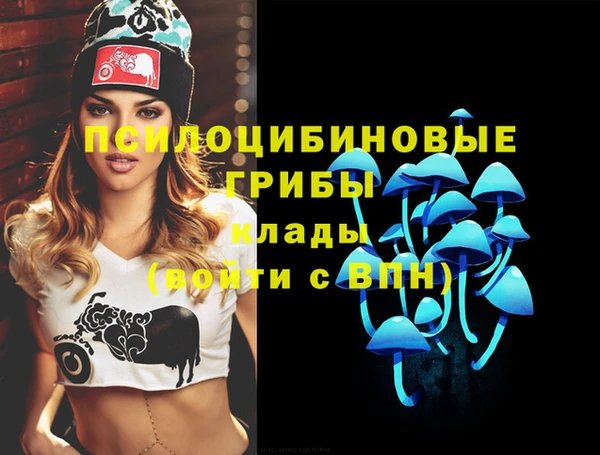 дурь Абинск