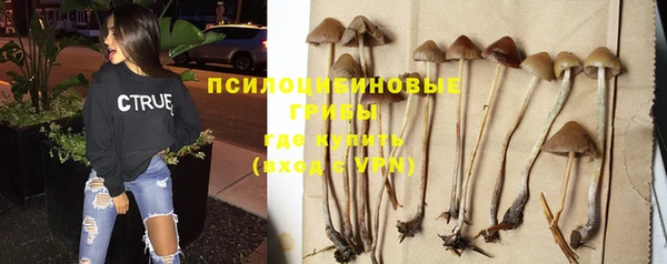 амф Абдулино